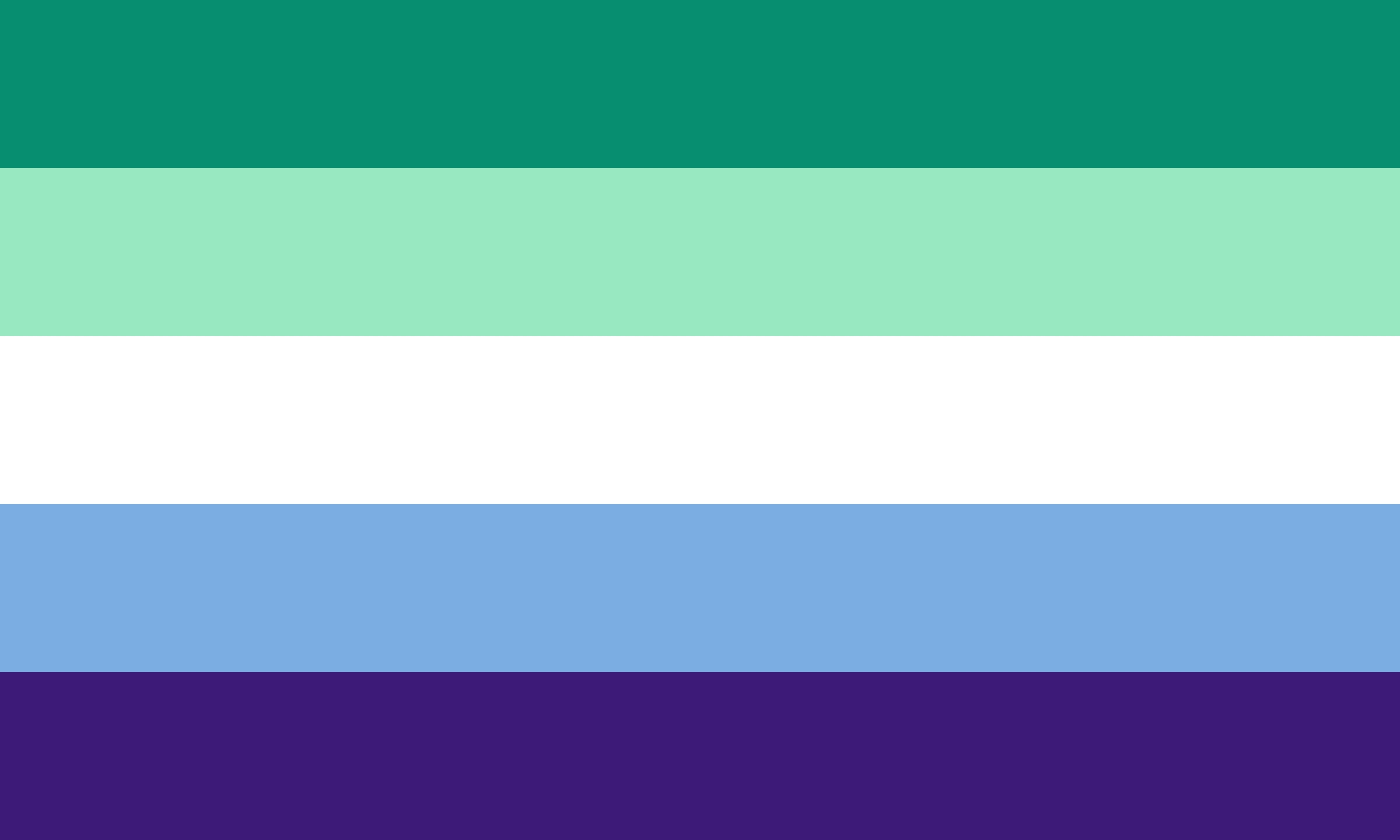 bandiere LGBTQIA+ significato guida, bandiere LGBTQIA+ significato, LGBTQIA+ guida